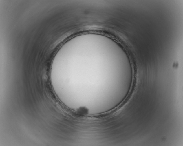 X0000113611209200909181043