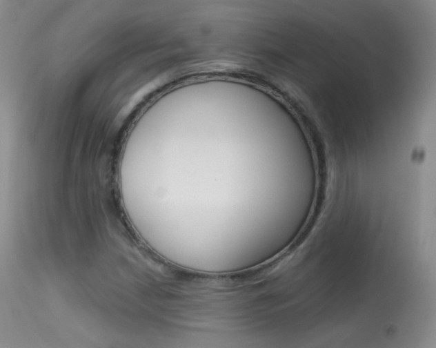 X0000113611210200909181043