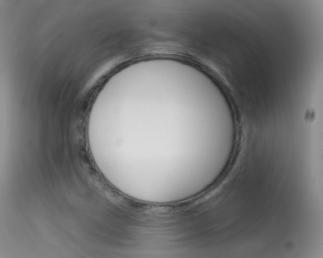 X0000113611211200909181043