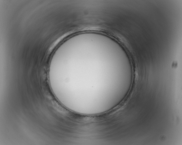 X0000113611212200909181043