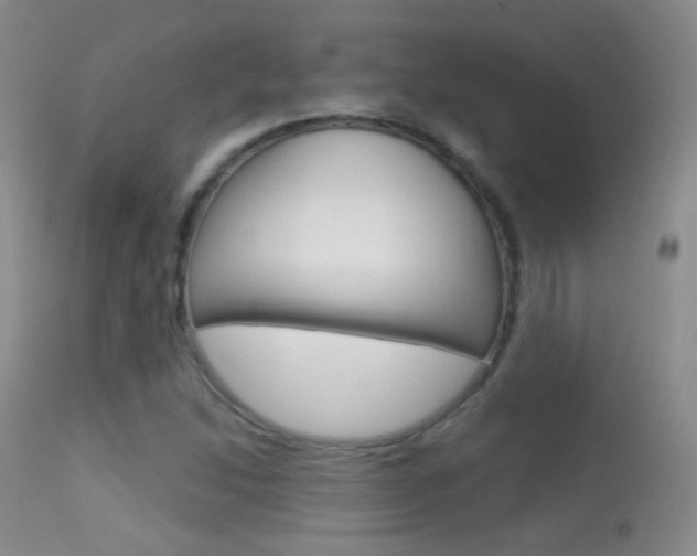 X0000113611214200909181043