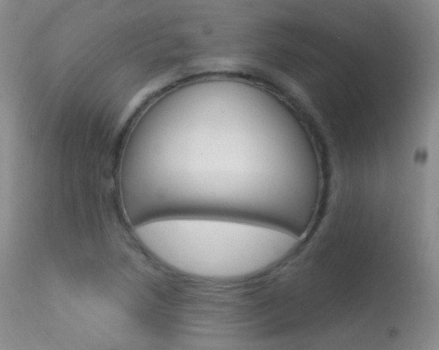 X0000113611218200909181043