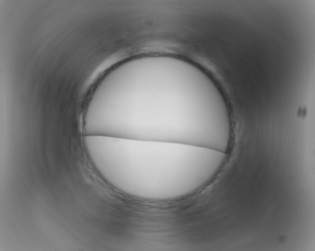 X0000113611219200909181043