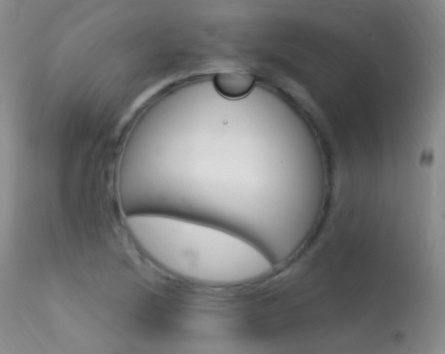 X0000113611220200909181043