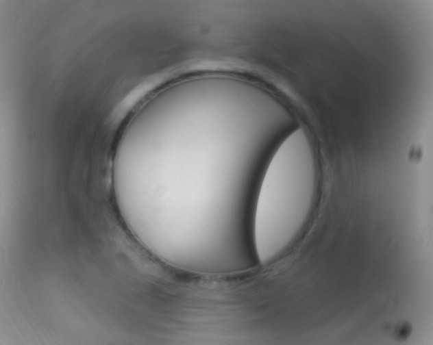 X0000113611221200909181043