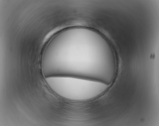 X0000113611222200909181043