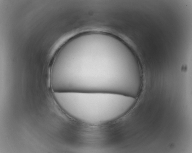 X0000113611223200909181043