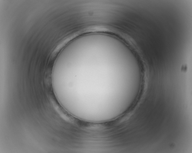 X0000113611225200909181043