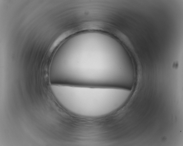 X0000113611226200909181043