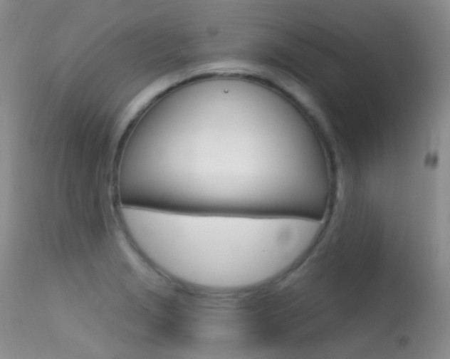 X0000113611229200909181043