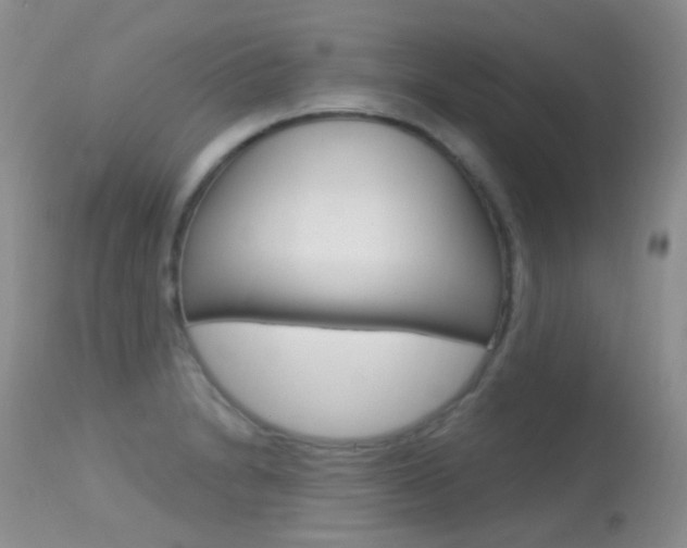 X0000113611230200909181043