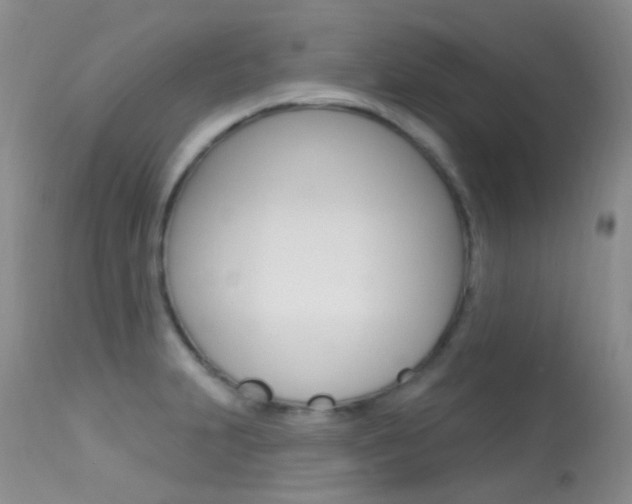 X0000113611231200909181043