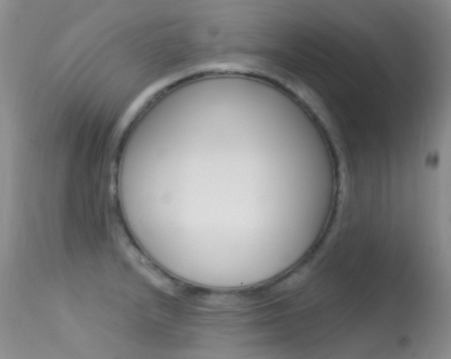 X0000113611232200909181043