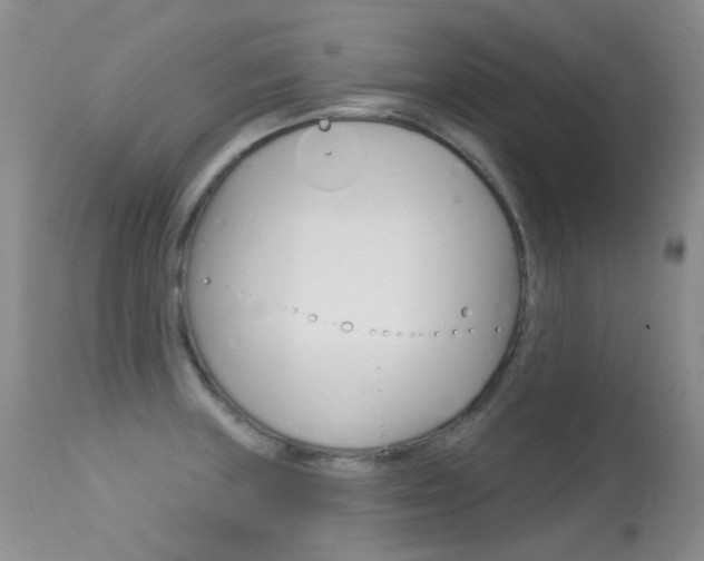 X0000113611235200909181044