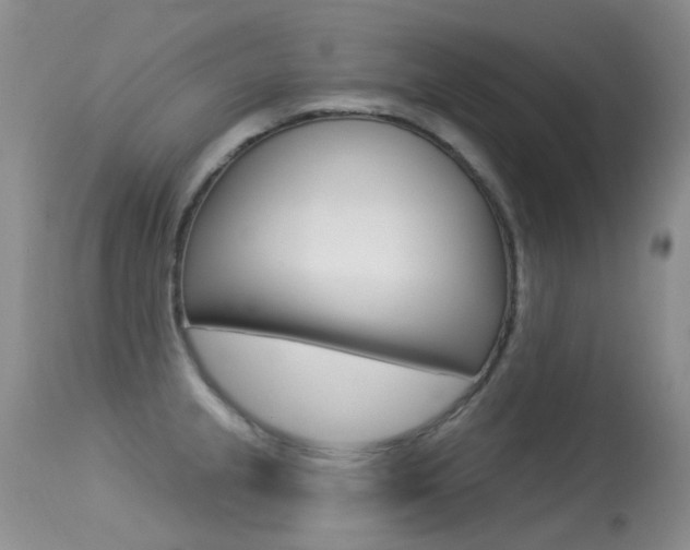 X0000113611237200909181044