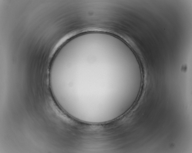 X0000113611238200909181044