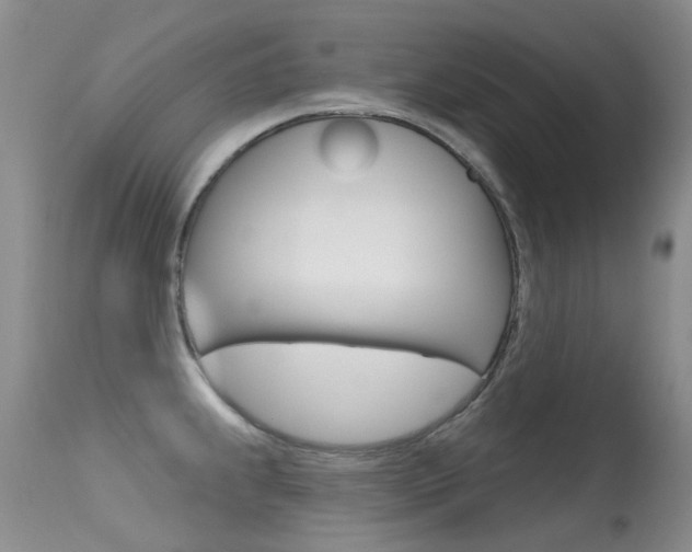 X0000113611239200909181044