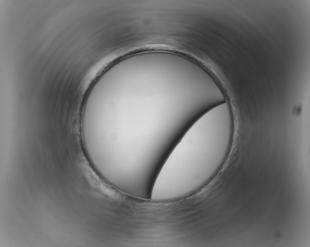 X0000113611240200909181044