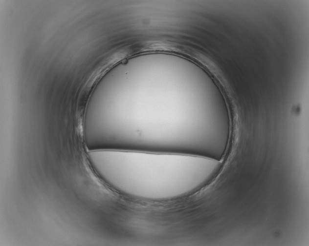X0000113611241200909181044