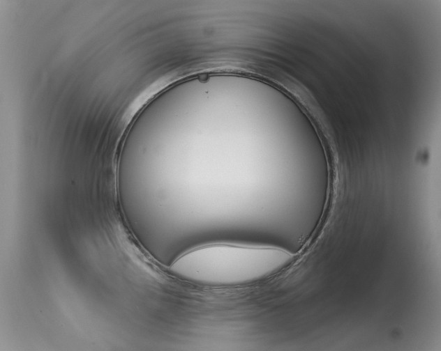 X0000113611242200909181044