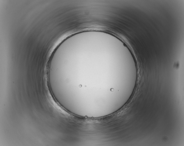 X0000113611243200909181044