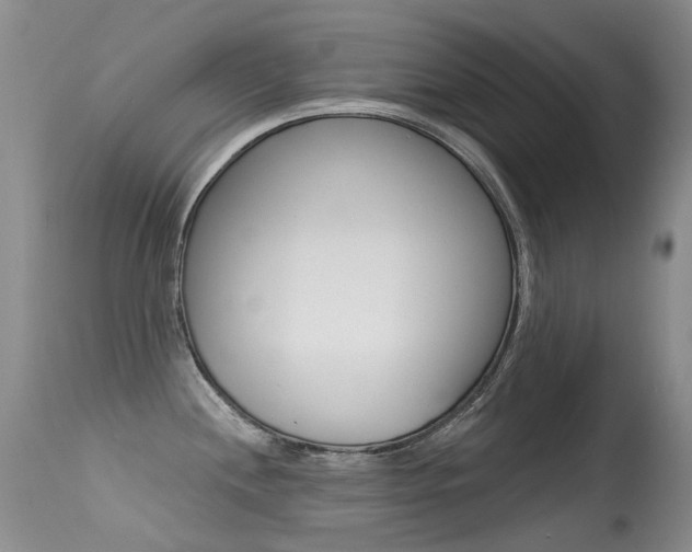 X0000113611244200909181044