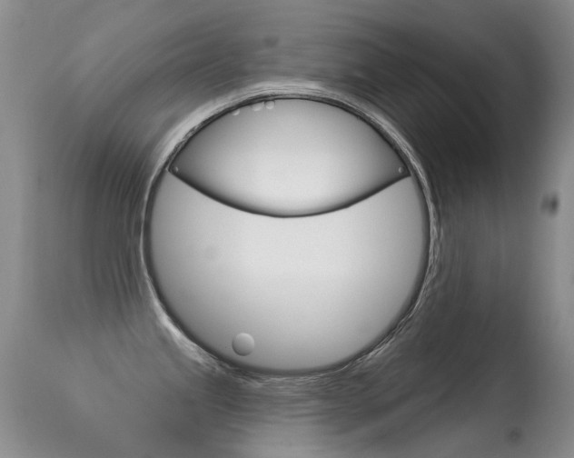 X0000113611245200909181044