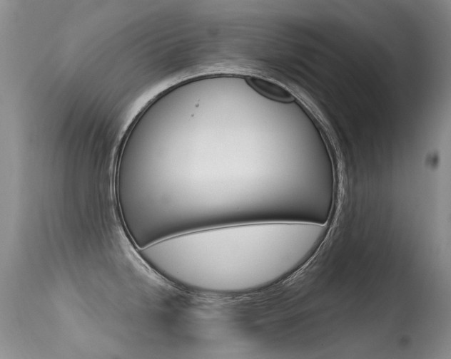 X0000113611246200909181044