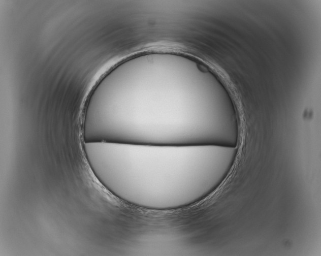 X0000113611248200909181044