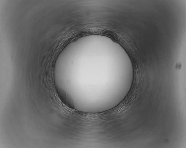 X0000113611249200909181043