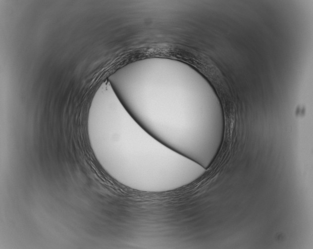 X0000113611250200909181043