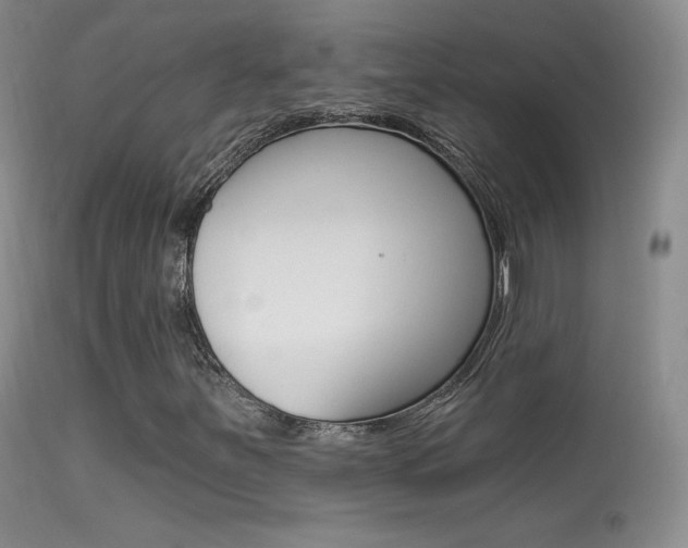 X0000113611251200909181043