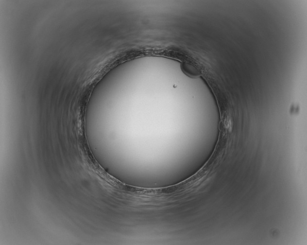 X0000113611252200909181043