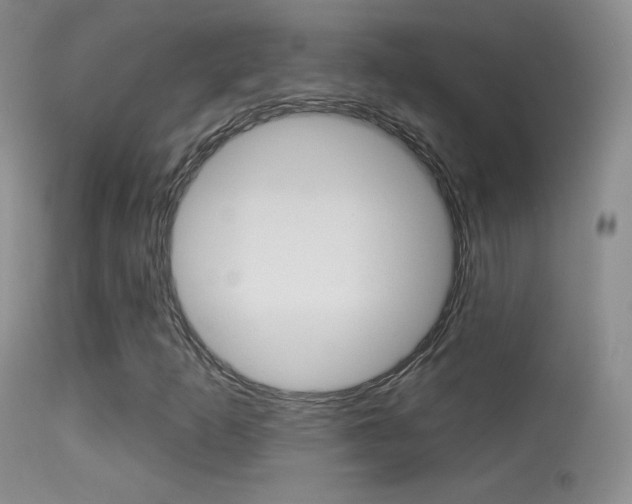 X0000113611253200909181043