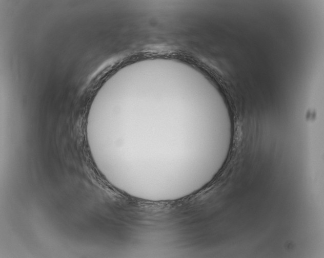 X0000113611254200909181043