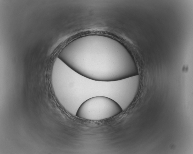 X0000113611255200909181043
