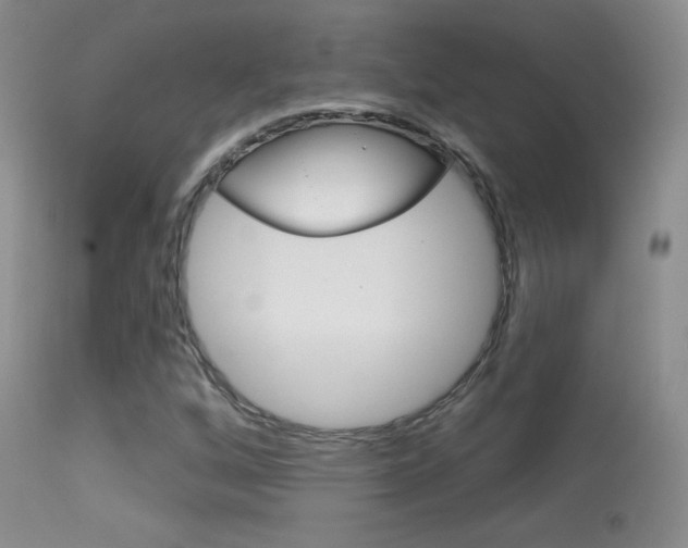 X0000113611256200909181043