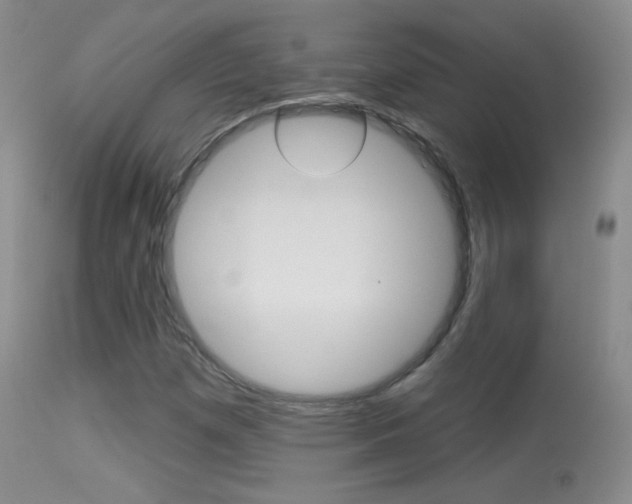X0000113611257200909181043