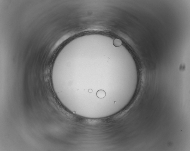 X0000113611258200909181043