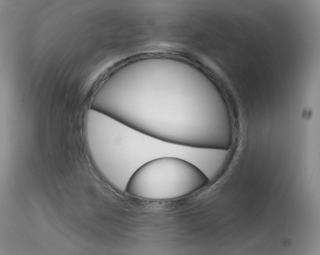 X0000113611259200909181043