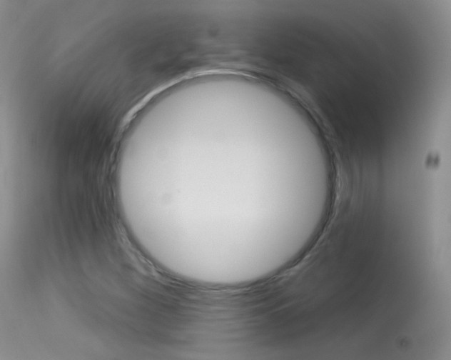 X0000113611260200909181043