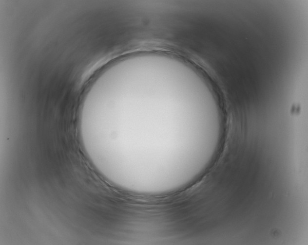 X0000113611261200909181043
