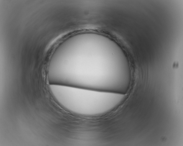 X0000113611262200909181043