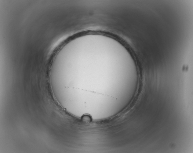 X0000113611263200909181043