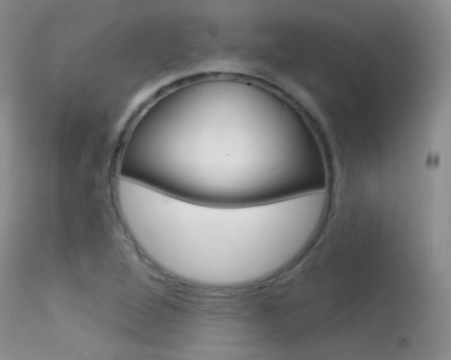 X0000113611264200909181043