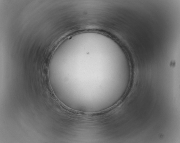 X0000113611265200909181043