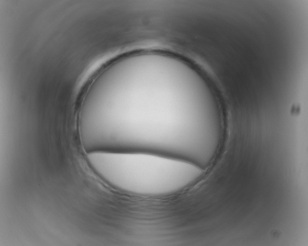 X0000113611270200909181043