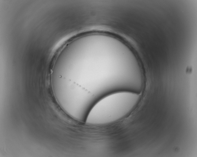 X0000113611271200909181043