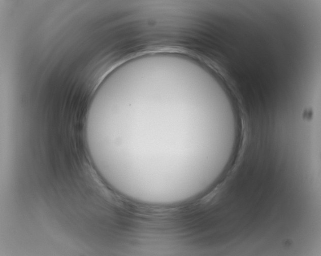 X0000113611273200909181043