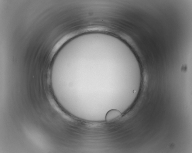 X0000113611274200909181043